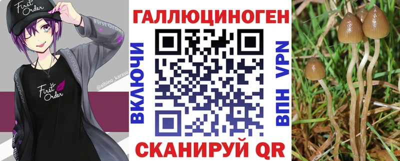 ссылка на мегу рабочий сайт  где купить наркоту  Чехов  Псилоцибиновые грибы Cubensis 