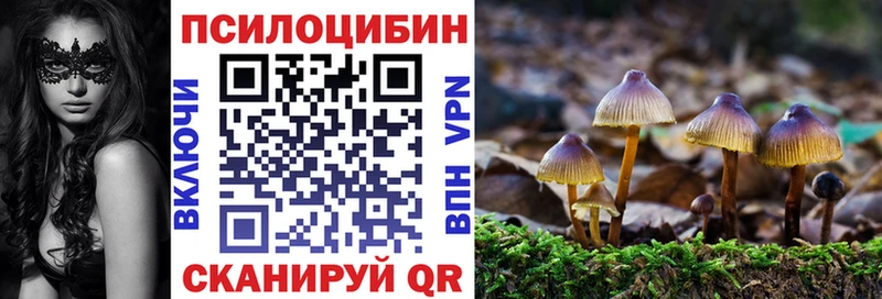 Галлюциногенные грибы мухоморы Чехов